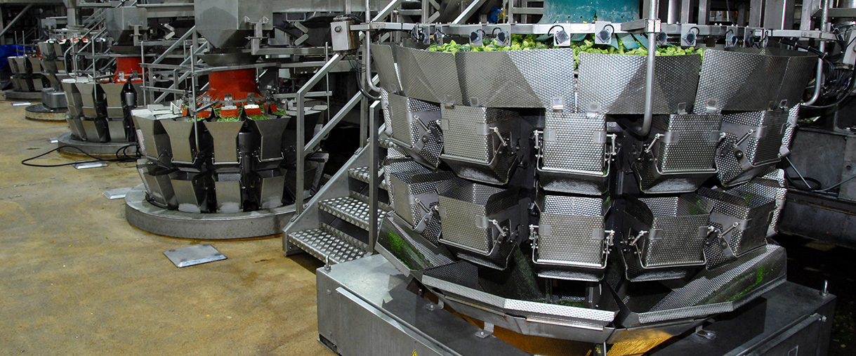 Ishida Multihead Weighers for Frozen Produce