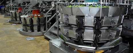 Ishida Multihead Weighers for Frozen Produce