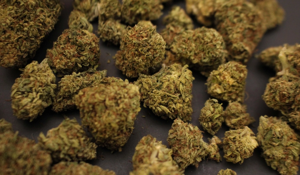 Cannabis Compressed