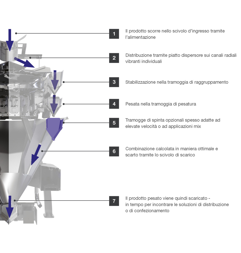 CCW DIAGRAM ITALIAN