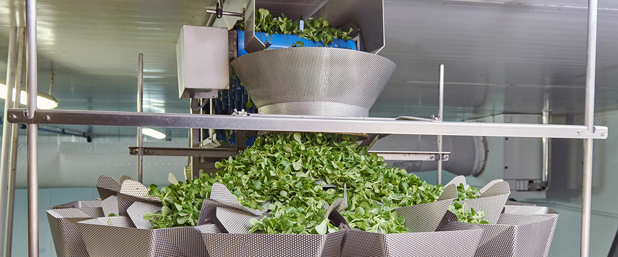 Ishida Multihead Weigher for Salad