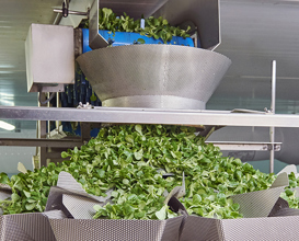 Ishida Multihead Weigher for Salad