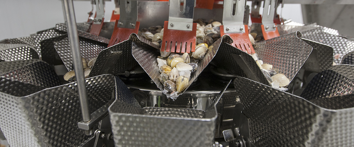 Seafood Being Weighed in a Ishida Multihead Weigher