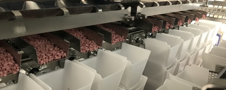 Micarna 2019, The Lardons Reach The Plastic Hoppers Via Vibratory Feeders