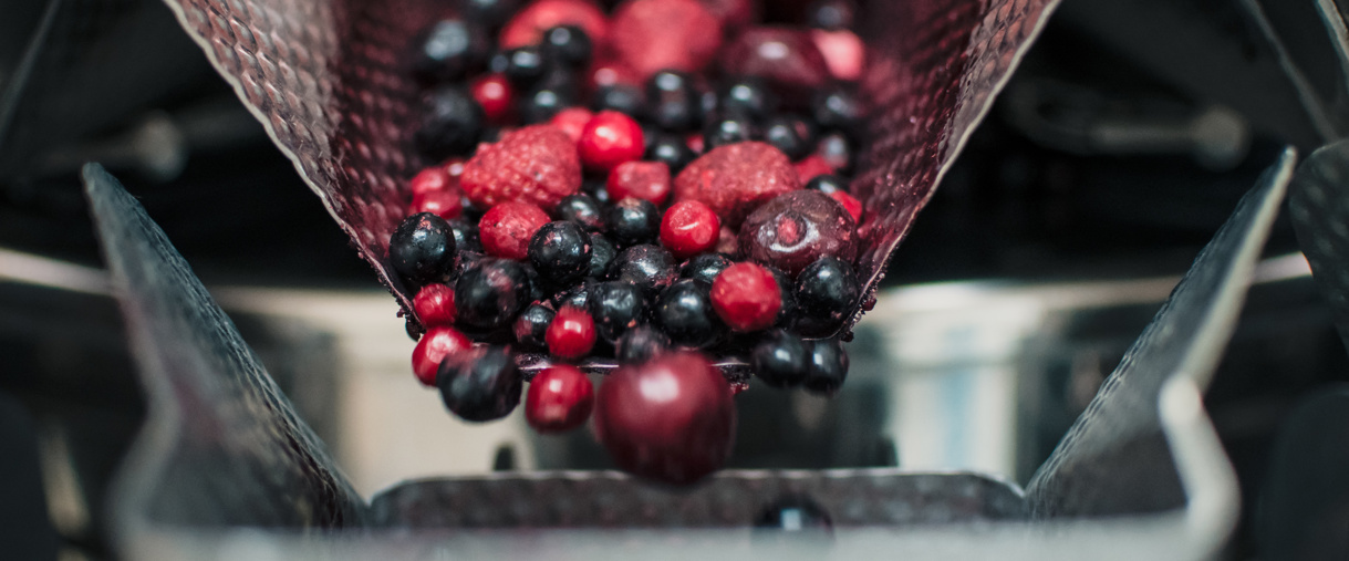 Agram CCW With Frozen Fruits Mix Radial Feeder PR Shot