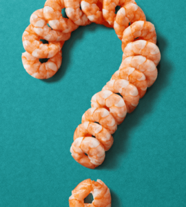 WEBSITE BANNER Blog 16