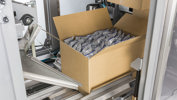 Ishida ACP-700 EOL Case Packing Solutions